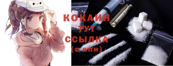 крисы Верхний Тагил