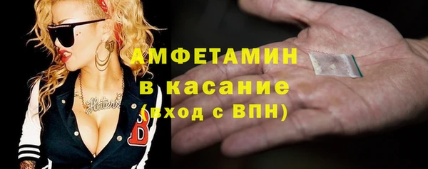 сатива Верея