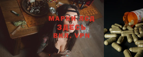 крисы Верхний Тагил