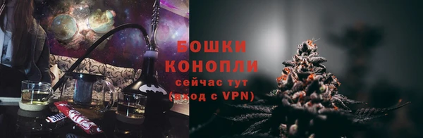 крисы Верхний Тагил