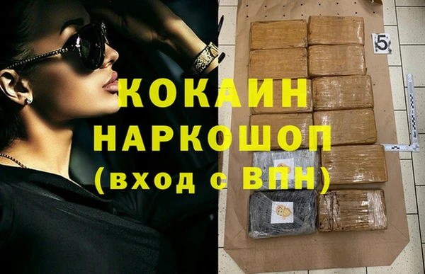 сатива Верея