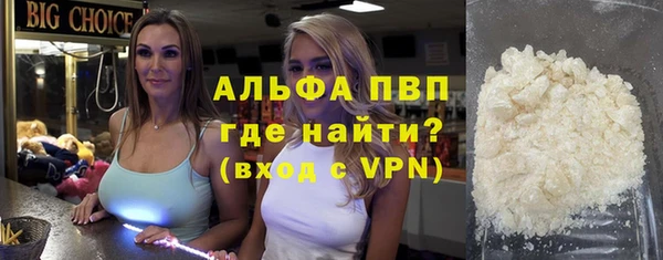 сатива Верея