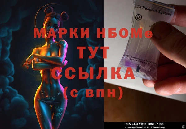 крисы Верхний Тагил